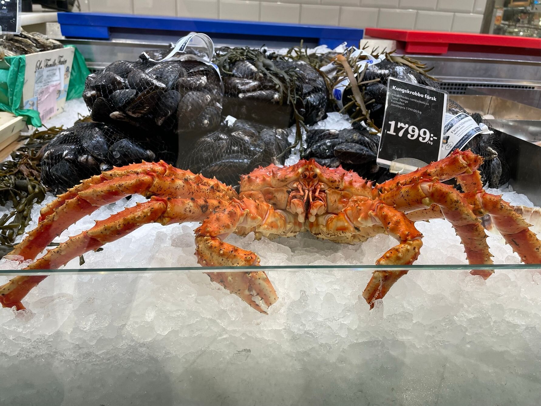 Photo: Dag Sørli, Norwegian Seafood Council