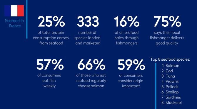 Infographics of seafood market in France