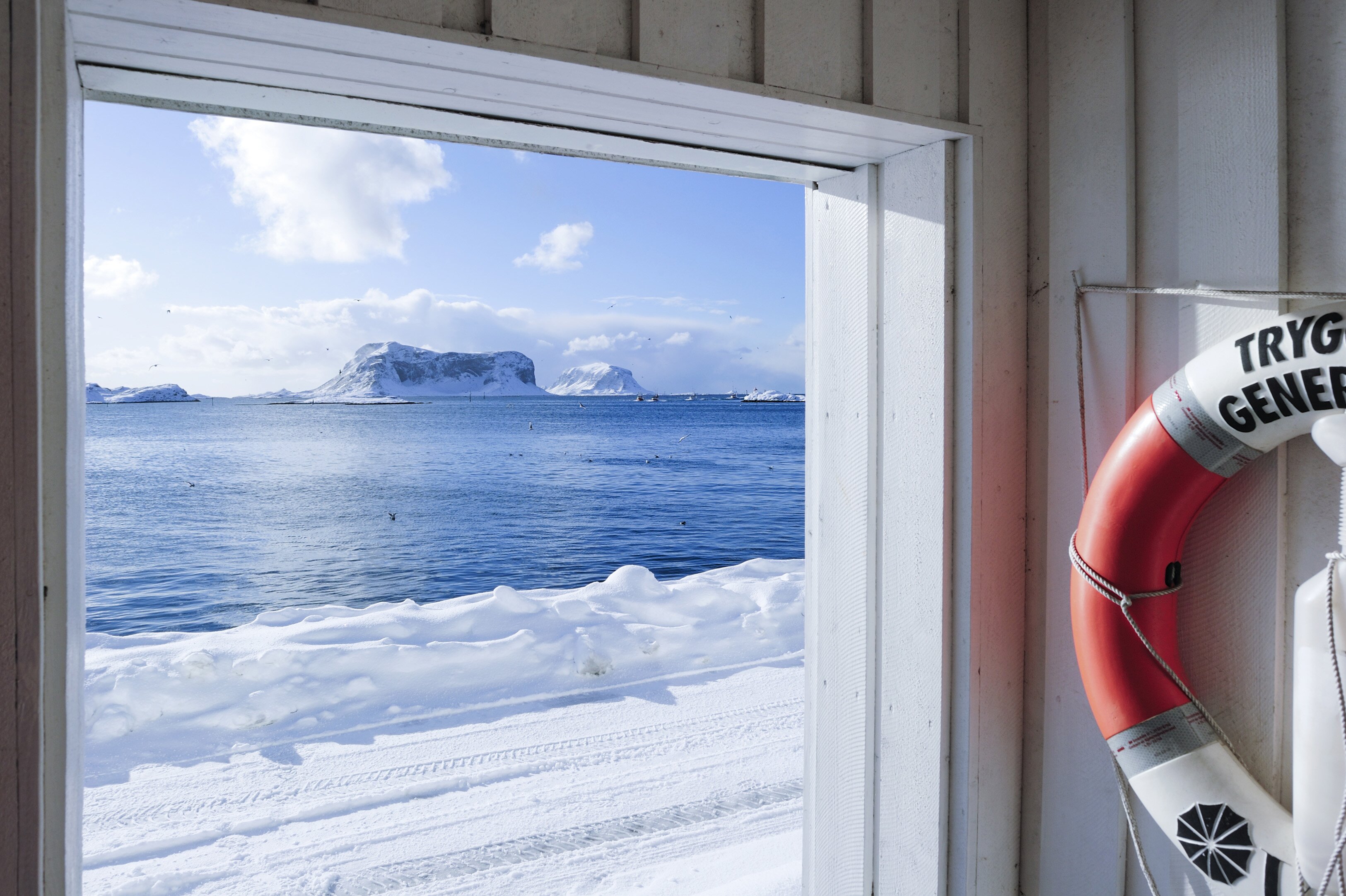 All time record for Norwegian codfish exports in 2014