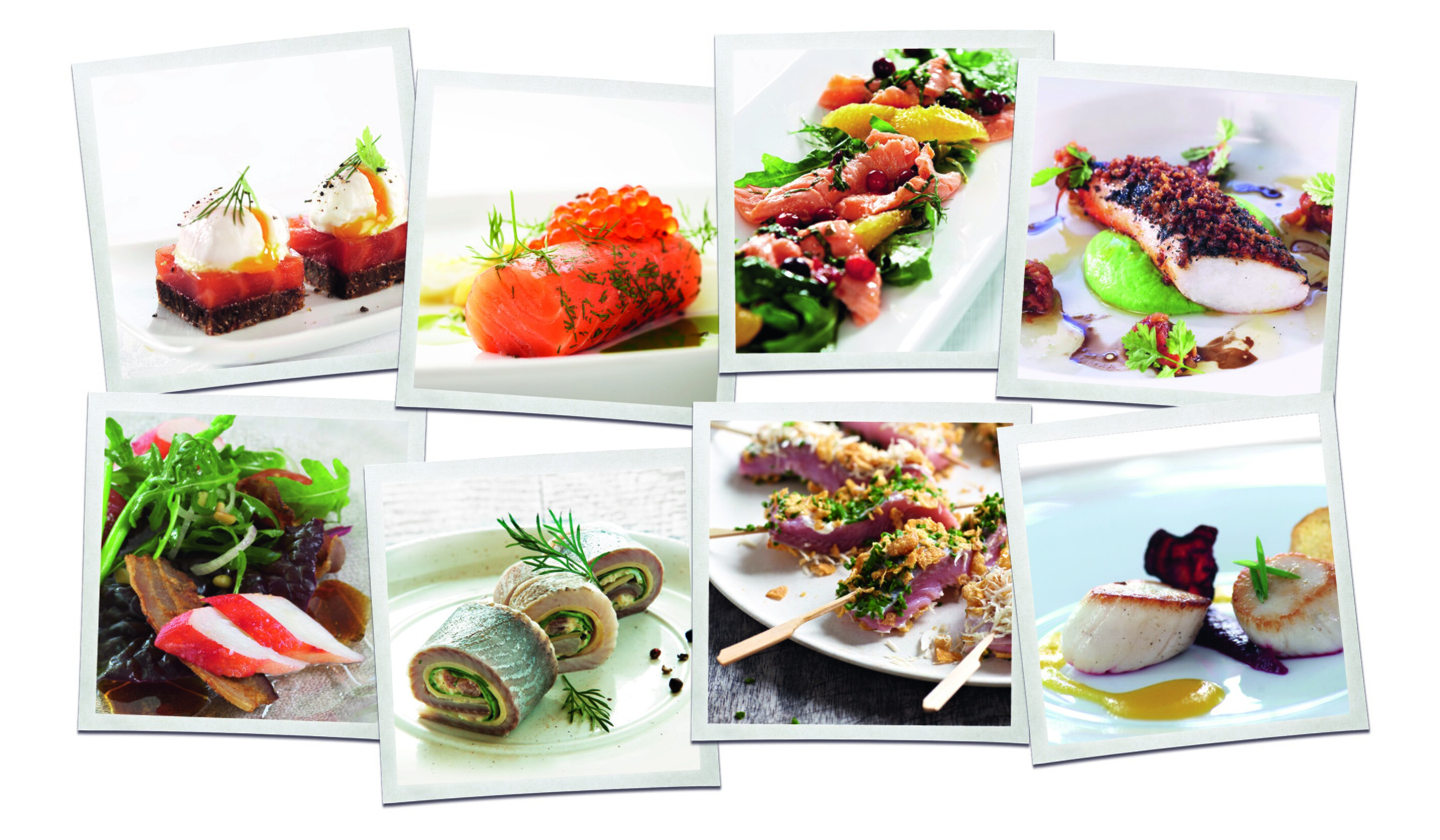 Seafood exports worth NOK 91.6 billion in 2016