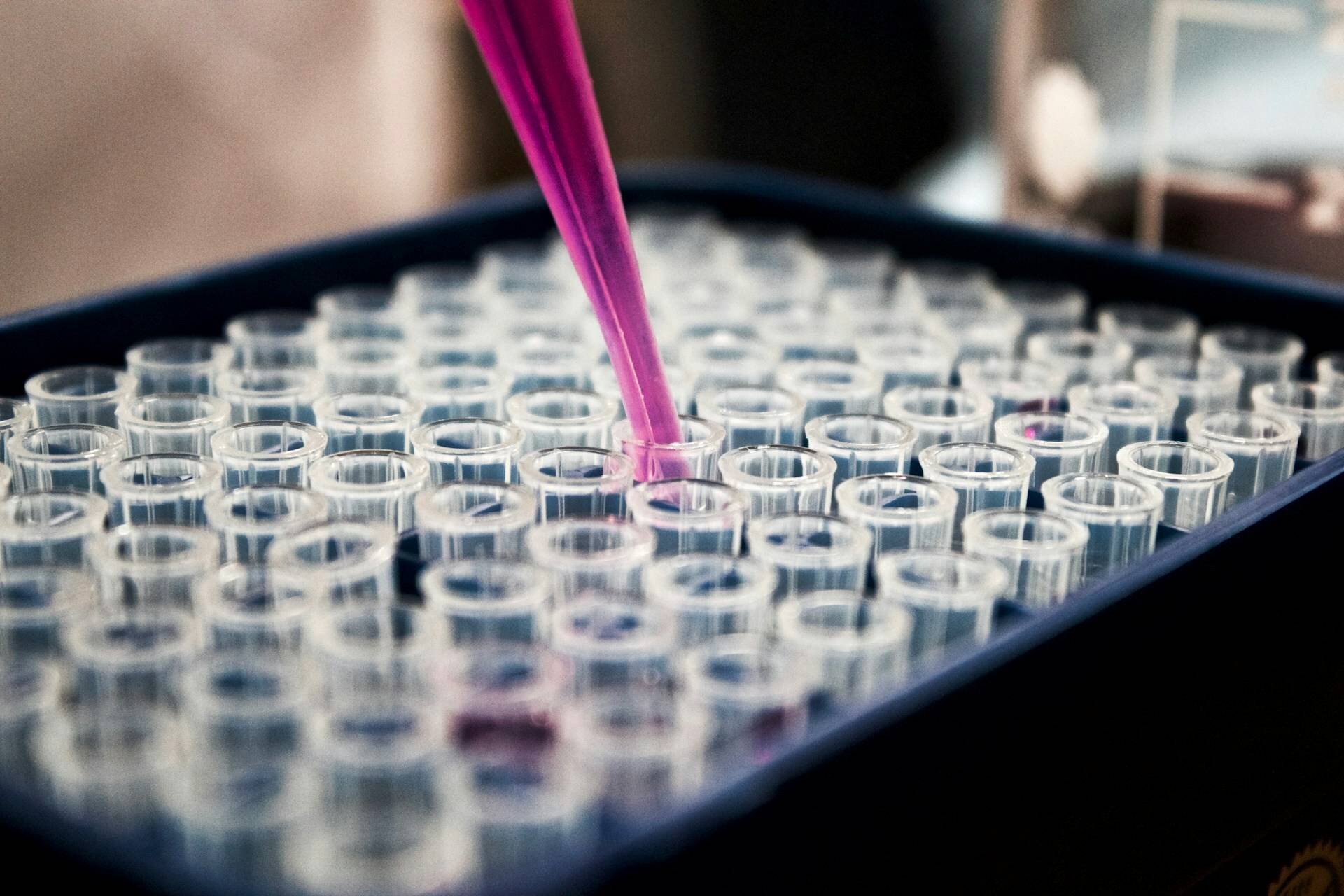 Close-up of test tubes.