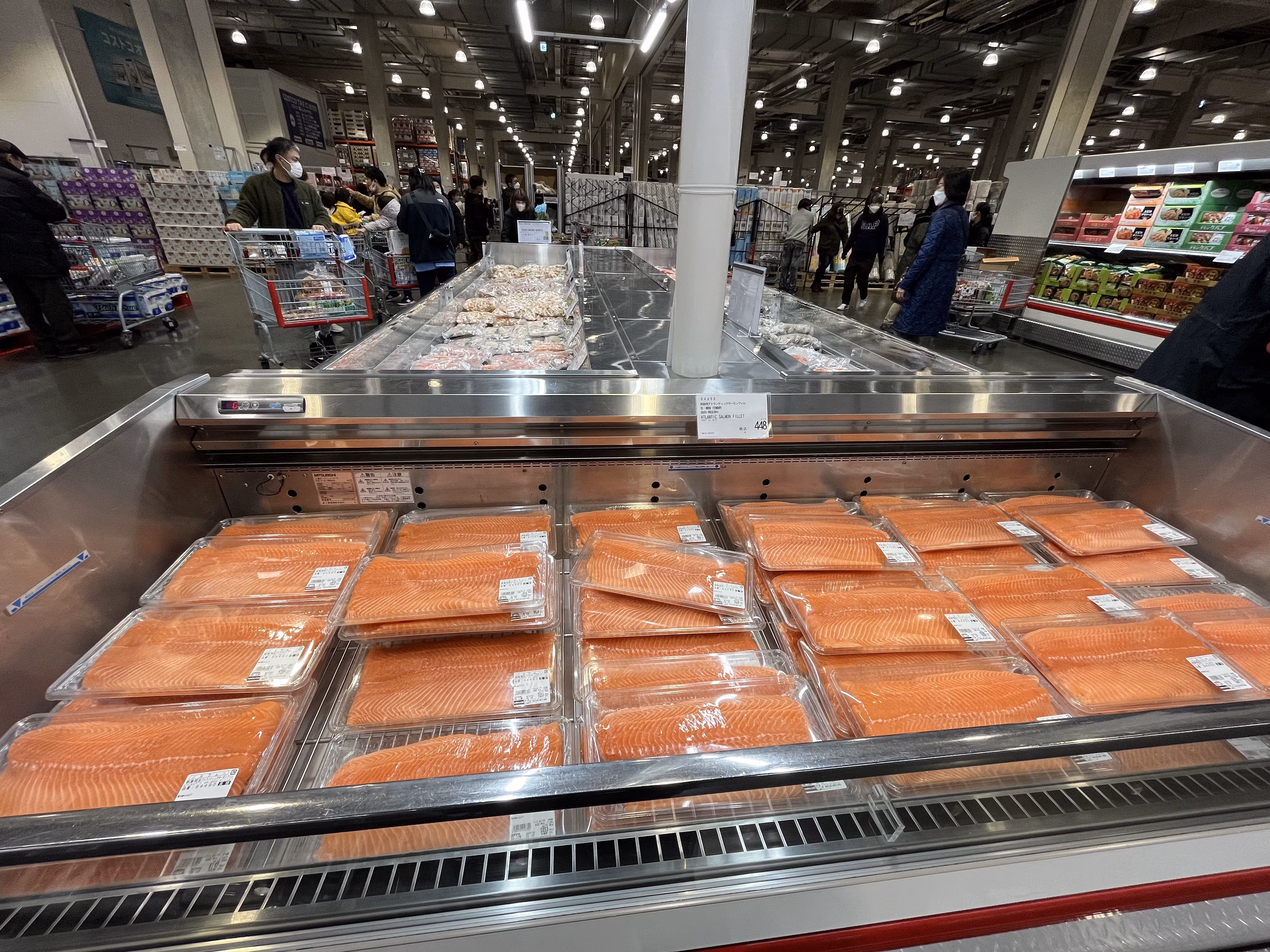 Fisk i kjøledisk