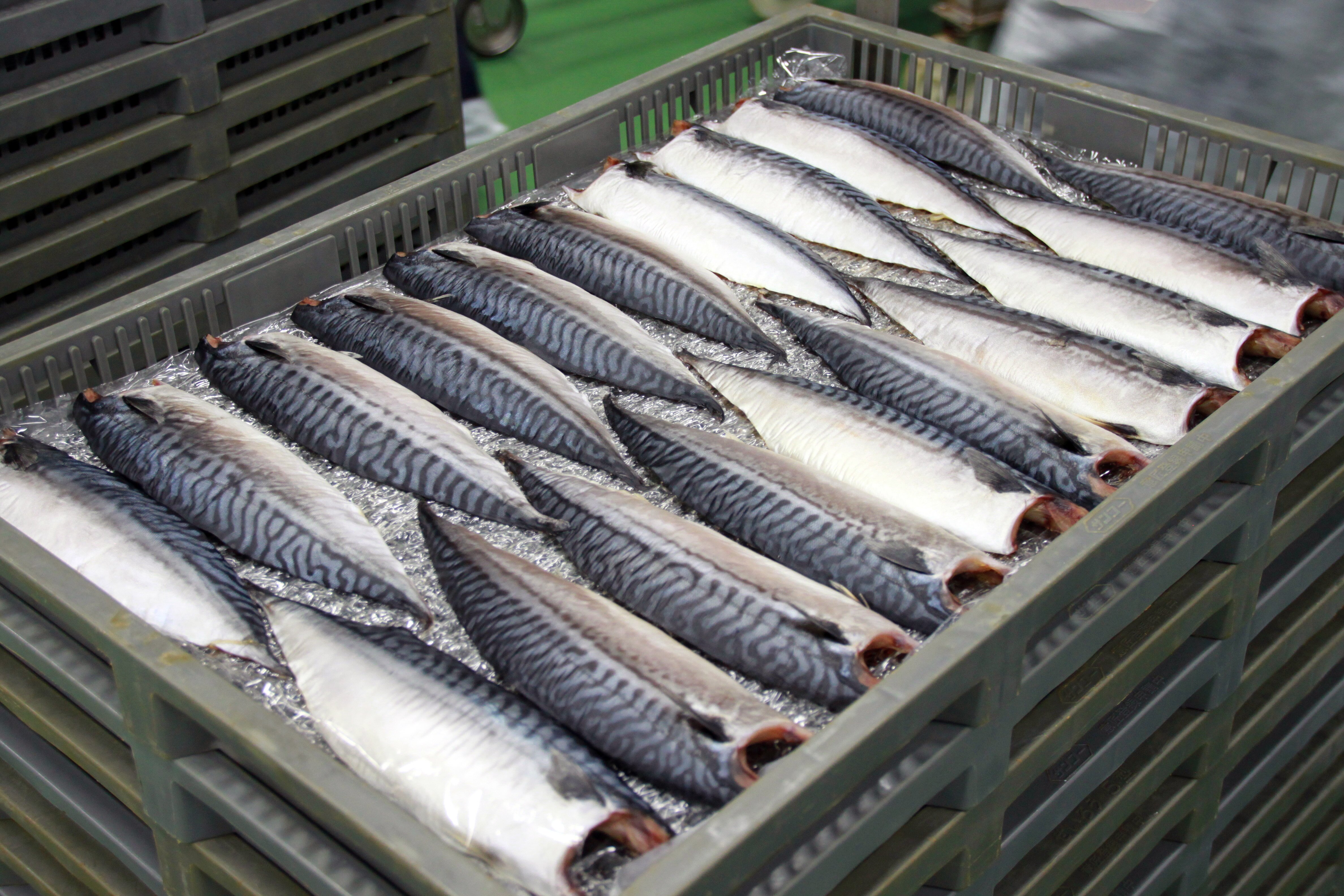 Norwegian seafood exports exceed NOK 90 billion in 2018