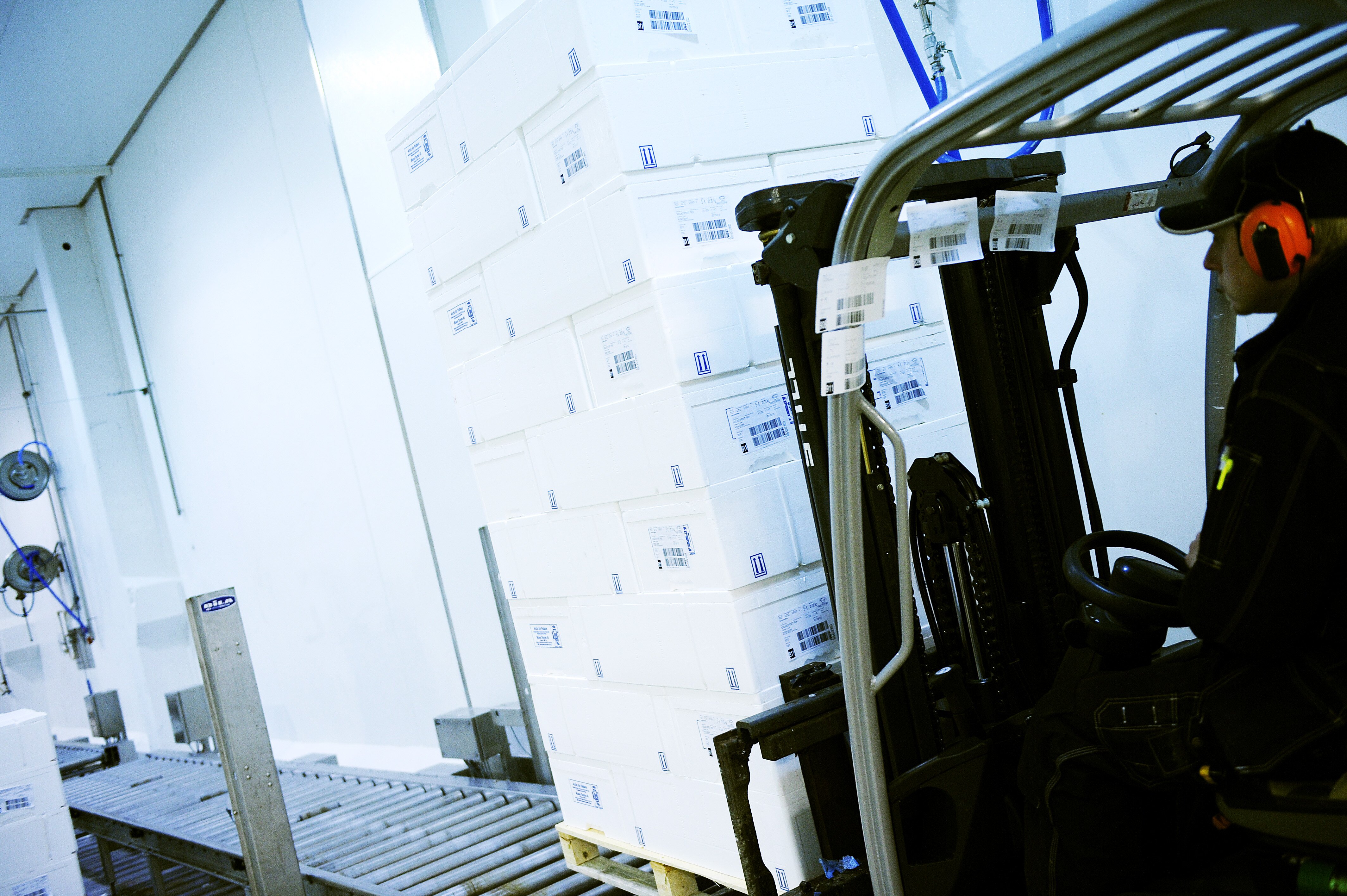 Reduced Exports of Norwegian Salmon in April 2015