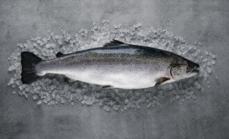 Norwegian aquaculture continues to top the charts of the most sustainable animal protein production