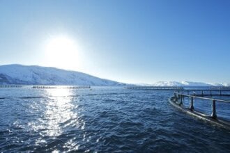 Salmon Exports Increase In Volume and Value