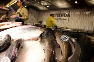 A strong start for the Norwegian seafood year – a 15 per cent increase from last year