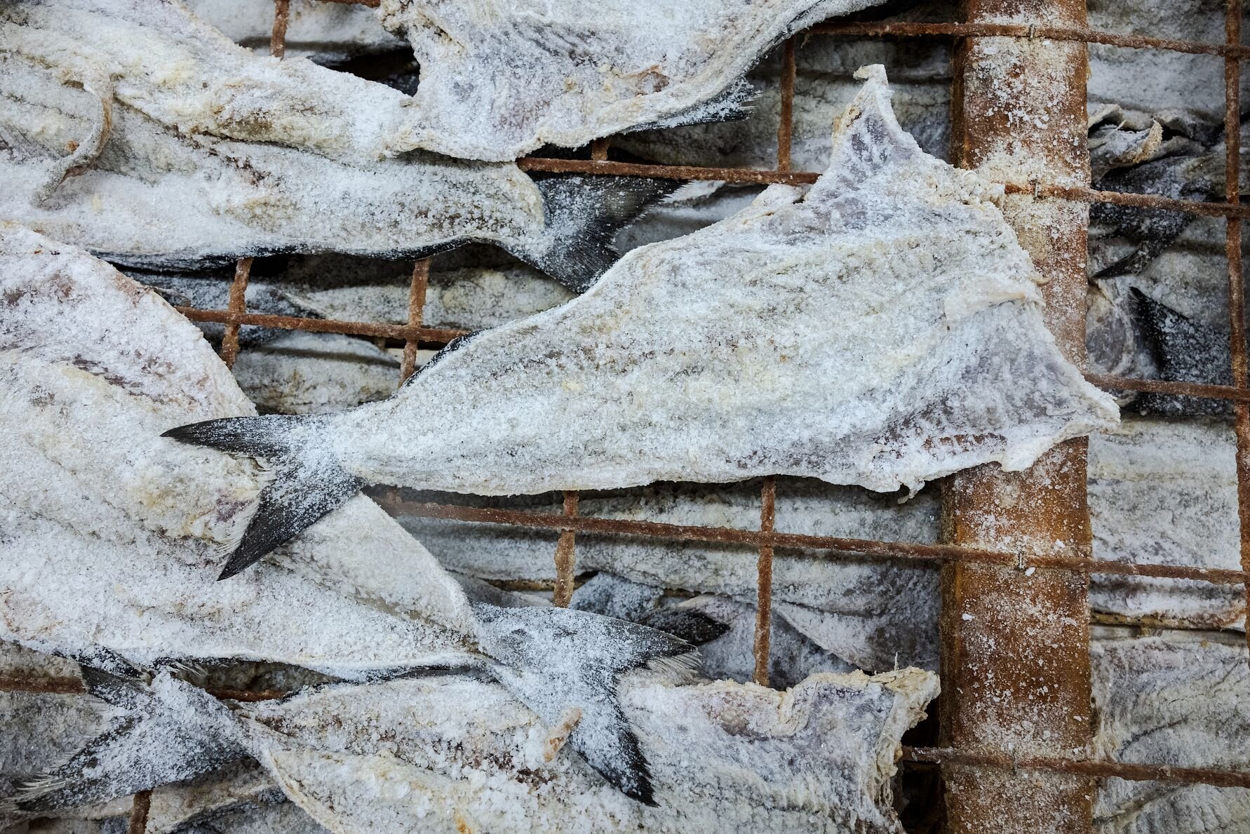 Clipfish Salted and dried saithe production.