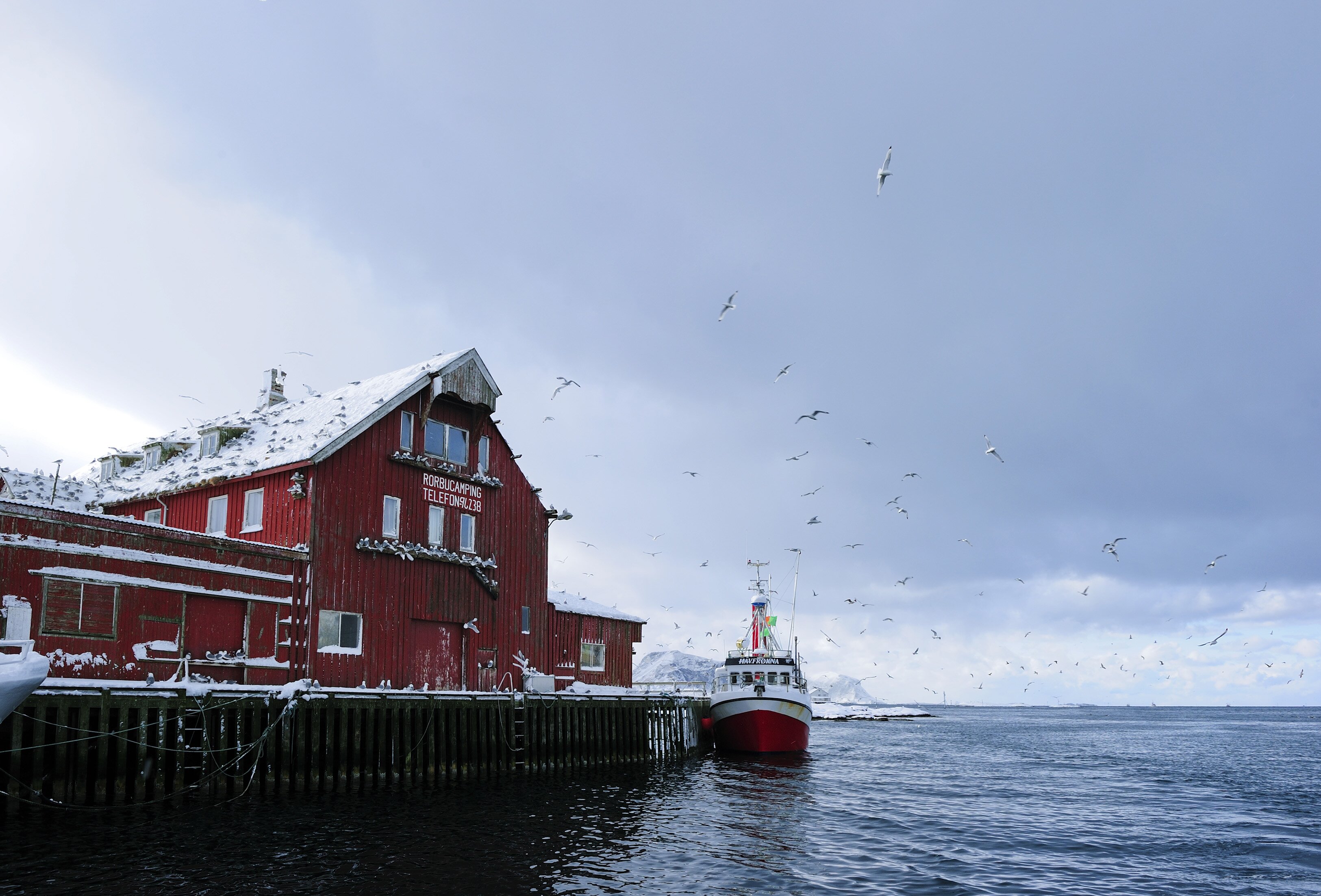 Norwegian seafood exports worth NOK 21.3 billion in Q1 2016