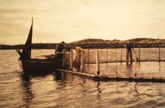 Celebrating 50 years of modern aquaculture