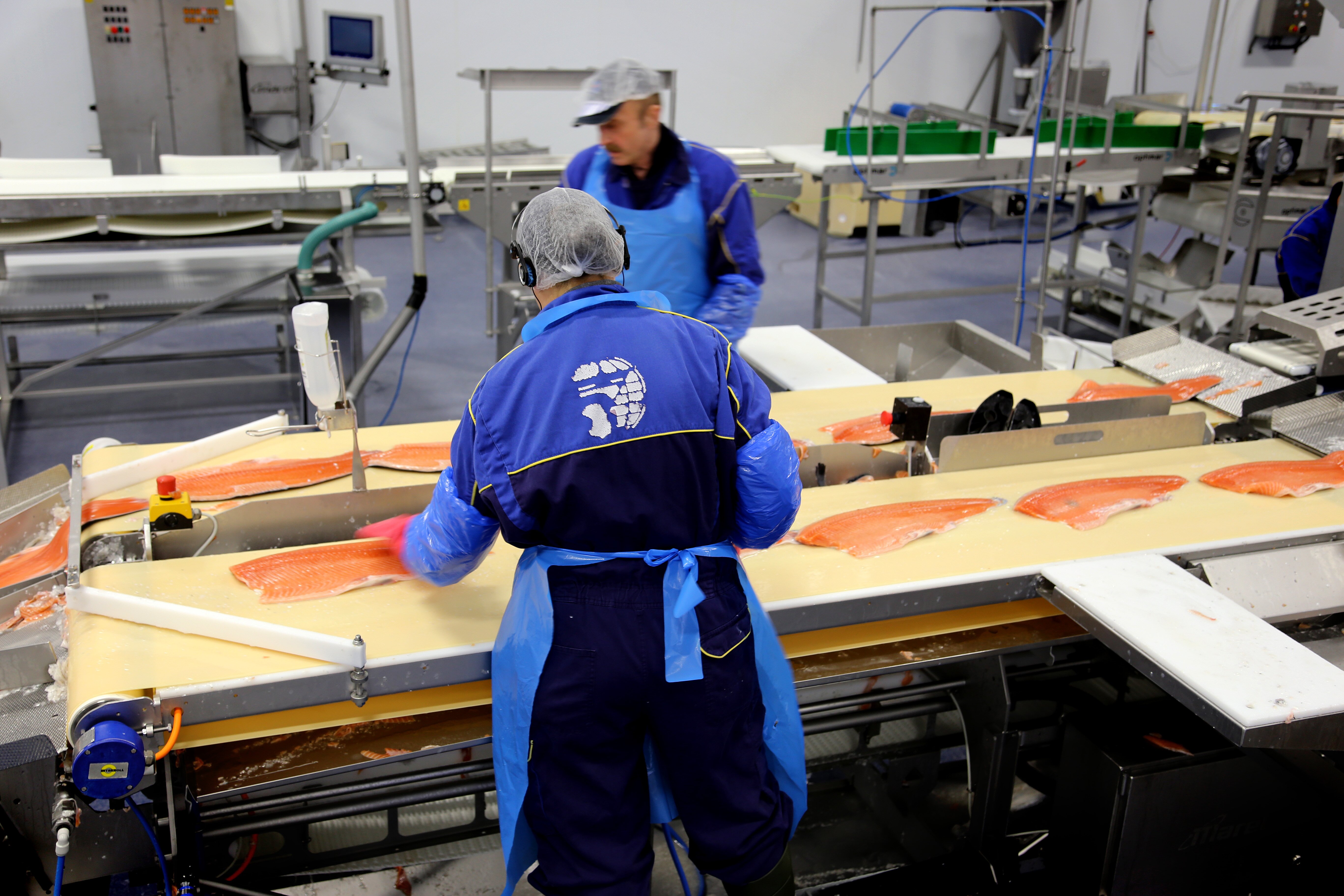 ​Continued increase of salmon exports