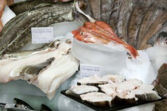 Norwegian Codfish Exports Exceed NOK 1 Billion in April   