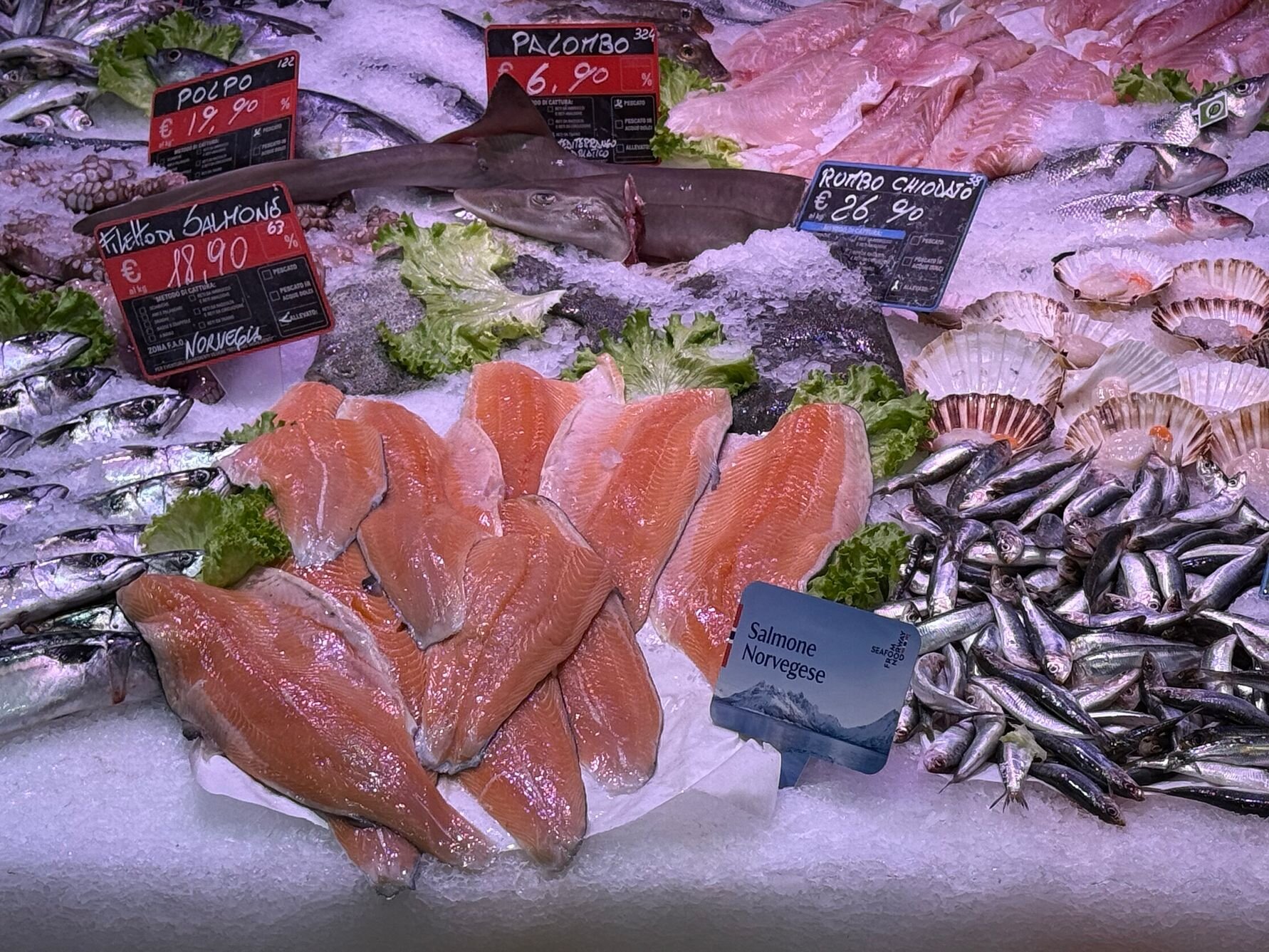 Photo: Dag Sørli, Norwegian Seafood Council