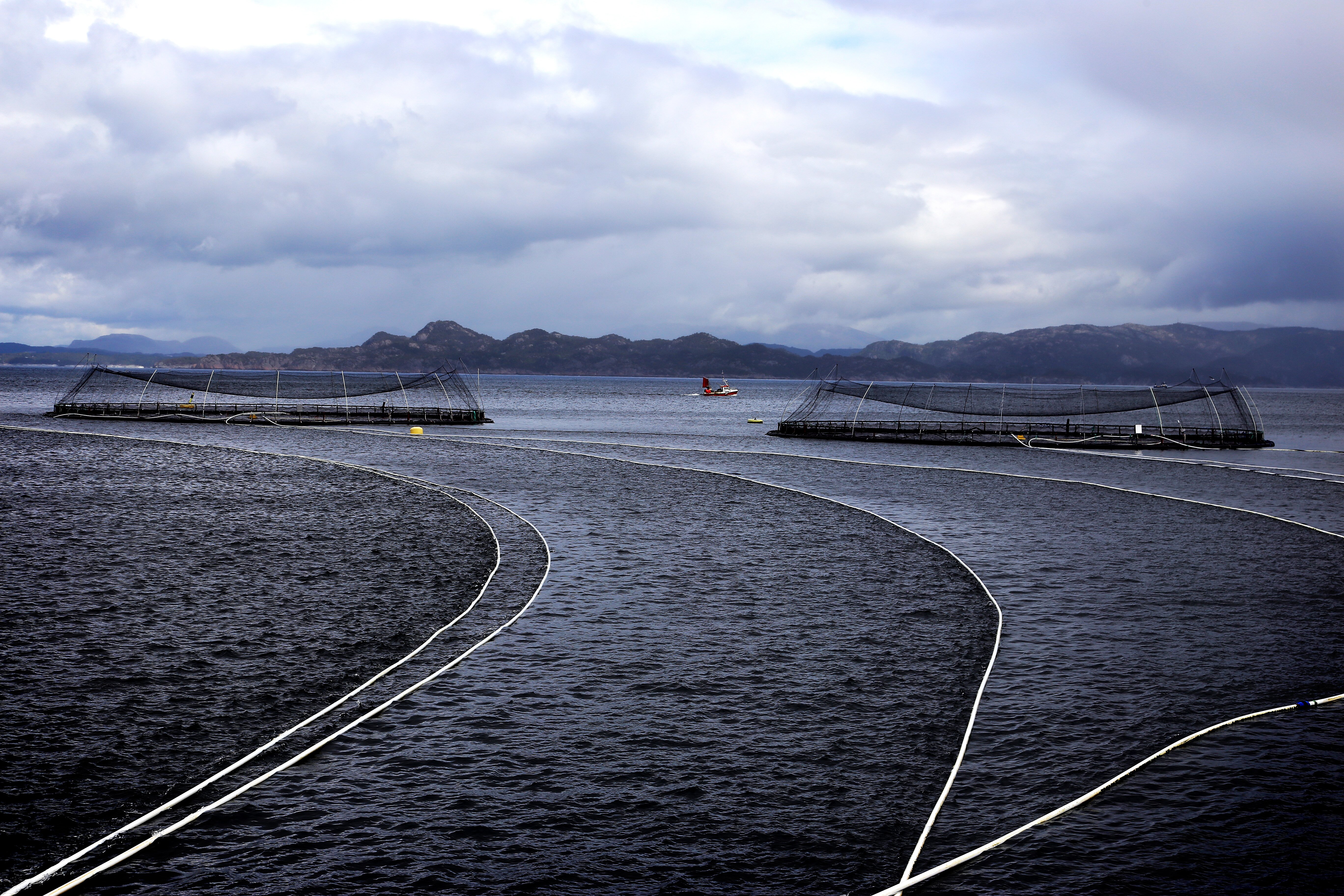 Norwegian seafood exports for the first six months of 2016