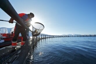 Record salmon exports in 2014