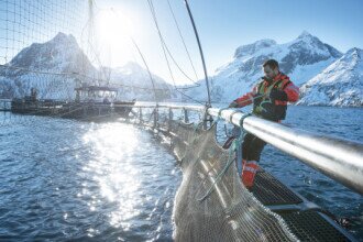 Norwegian salmon ranked most sustainable among world’s largest protein producers