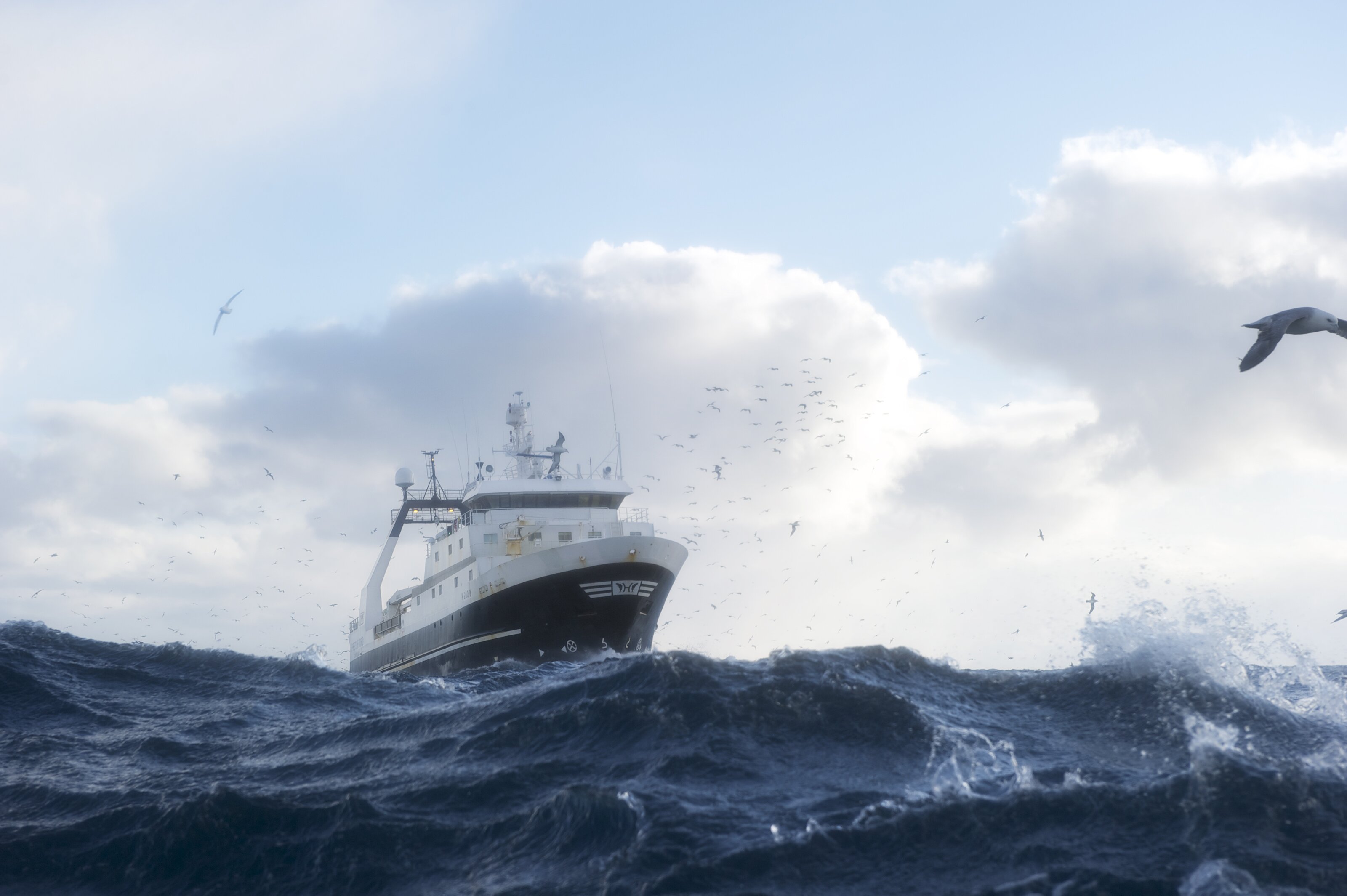 Norwegian Seafood Exports Reduced In February