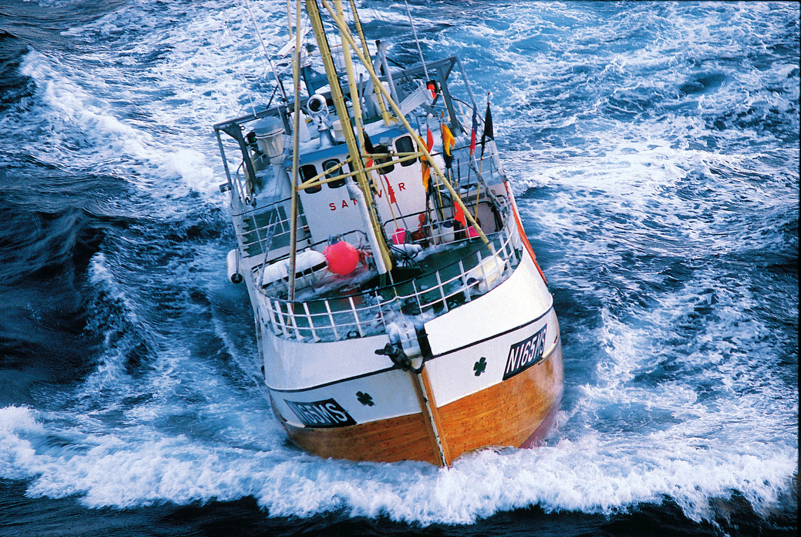 October sales a record month for Norwegian seafood 