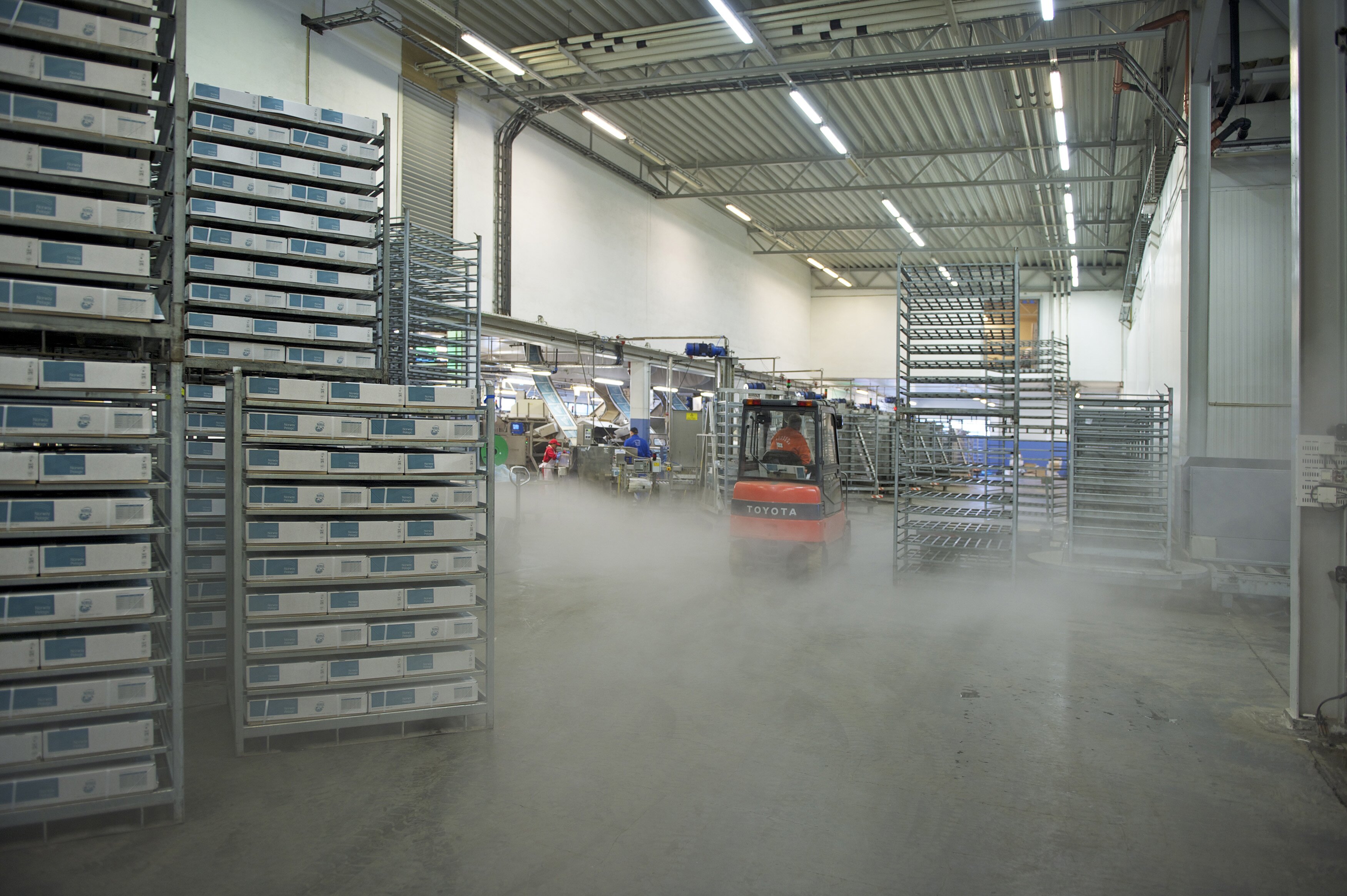 Norwegian mackerel exports historic strong in October