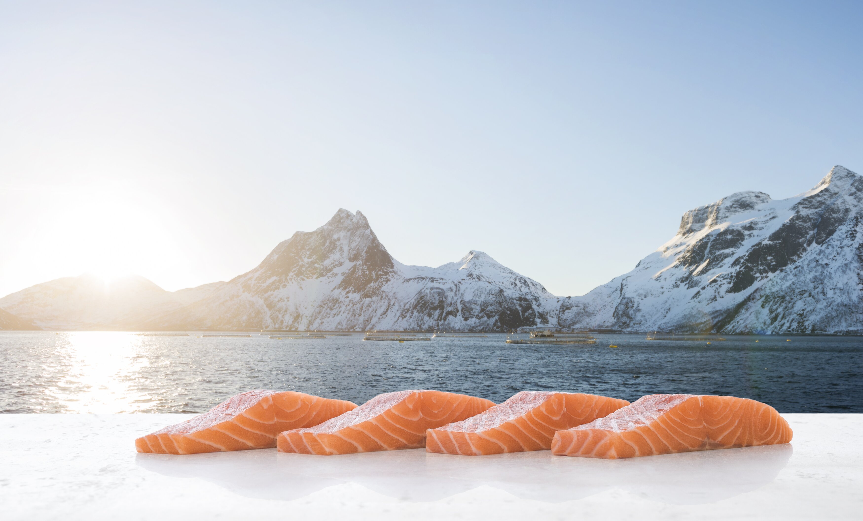 Strongest ever July for Norwegian seafood exports