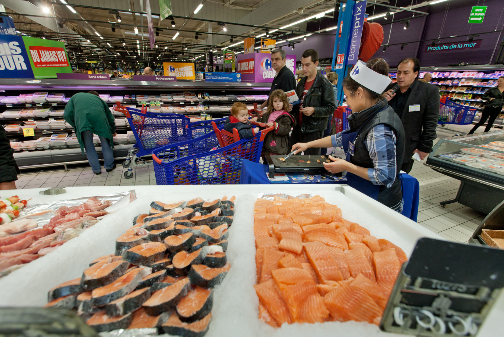 More seafood is the answer to future food security – but we are not eating enough