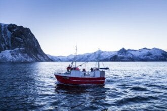 Steady start for cod exports in 2015