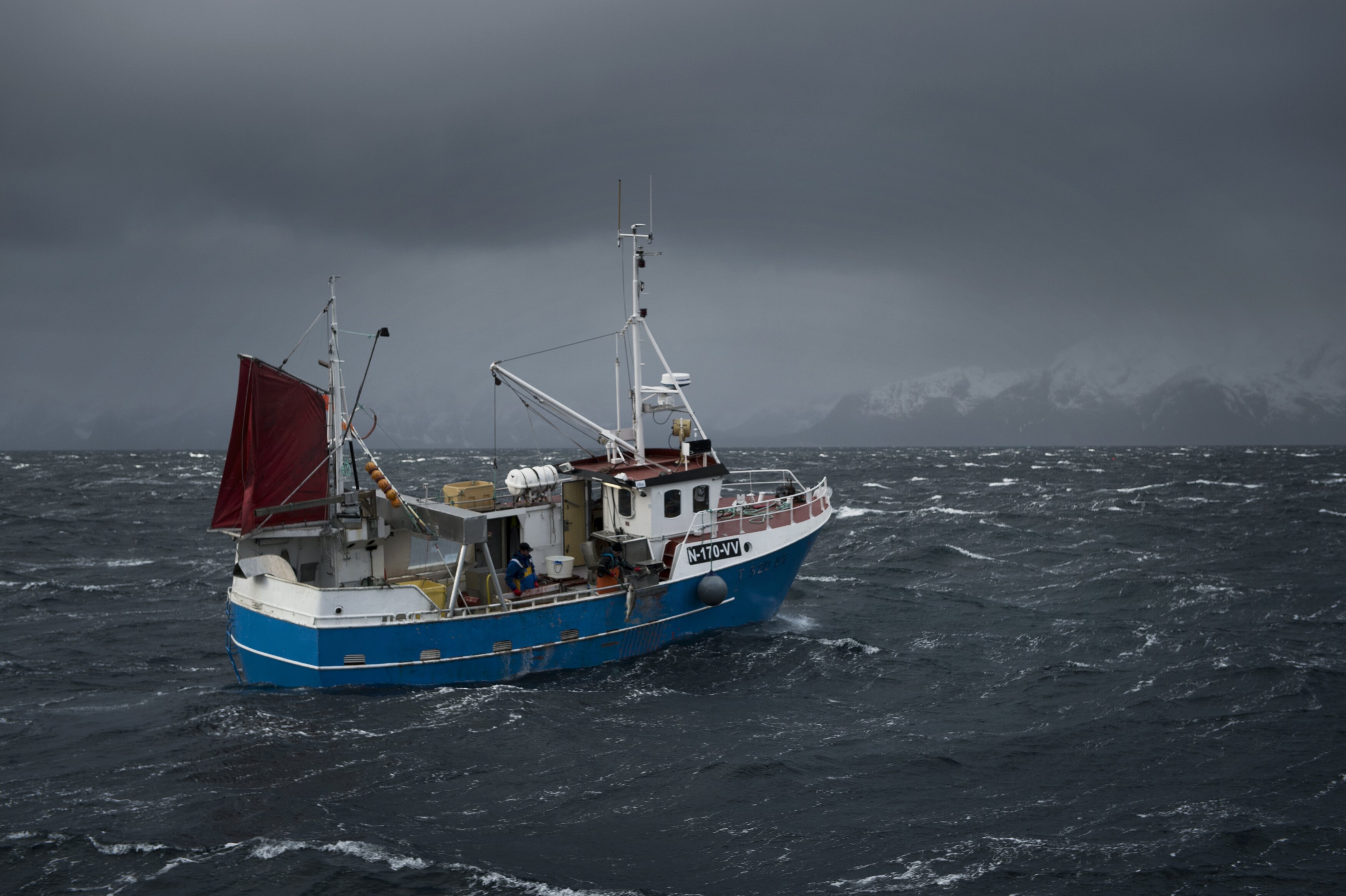 Best month ever for fresh cod from Norway 