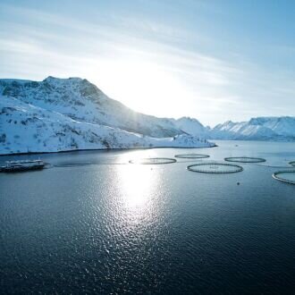 The annual monitoring report from the IMR for farmed fish shows no exceedance of the EU's limit values for illegal and undesirable substances.