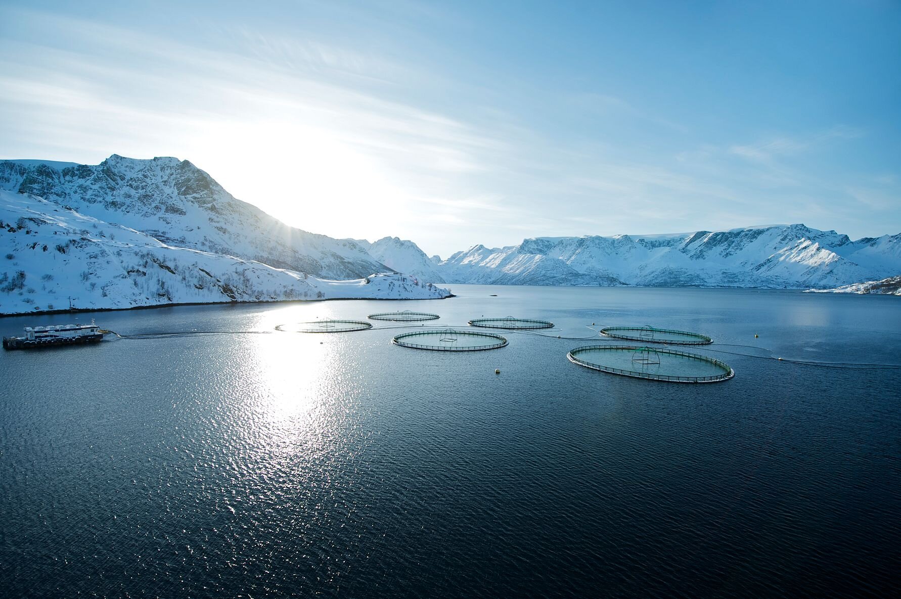 Norwegian fish farming cages in the ocean, seen from above, mountains in the background.