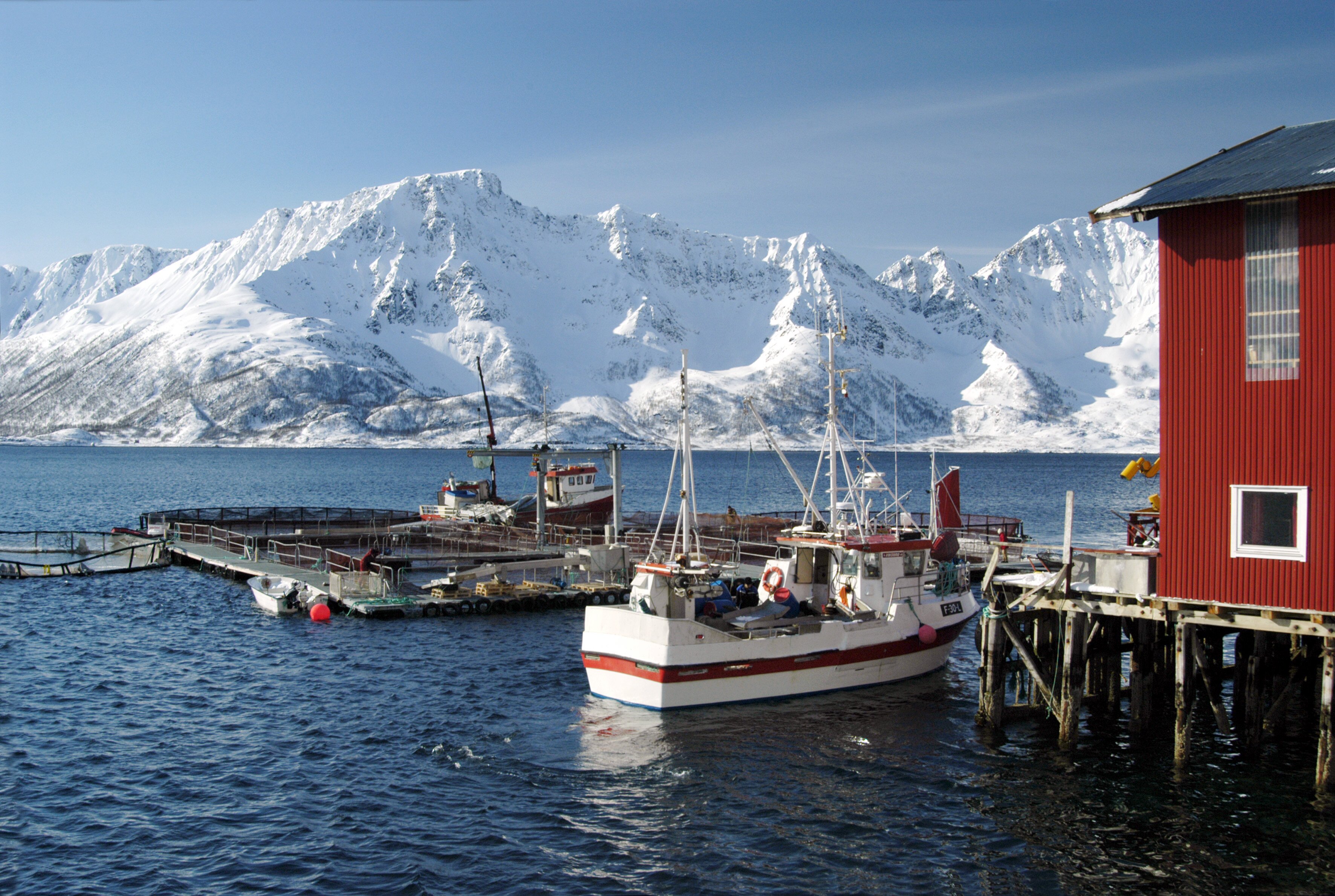 Live storage of cod lifts exports