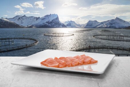 Norwegian seafood exports grew by 7 per cent in August