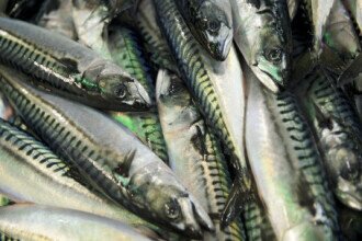 Norwegian seafood exports fall in value in May 