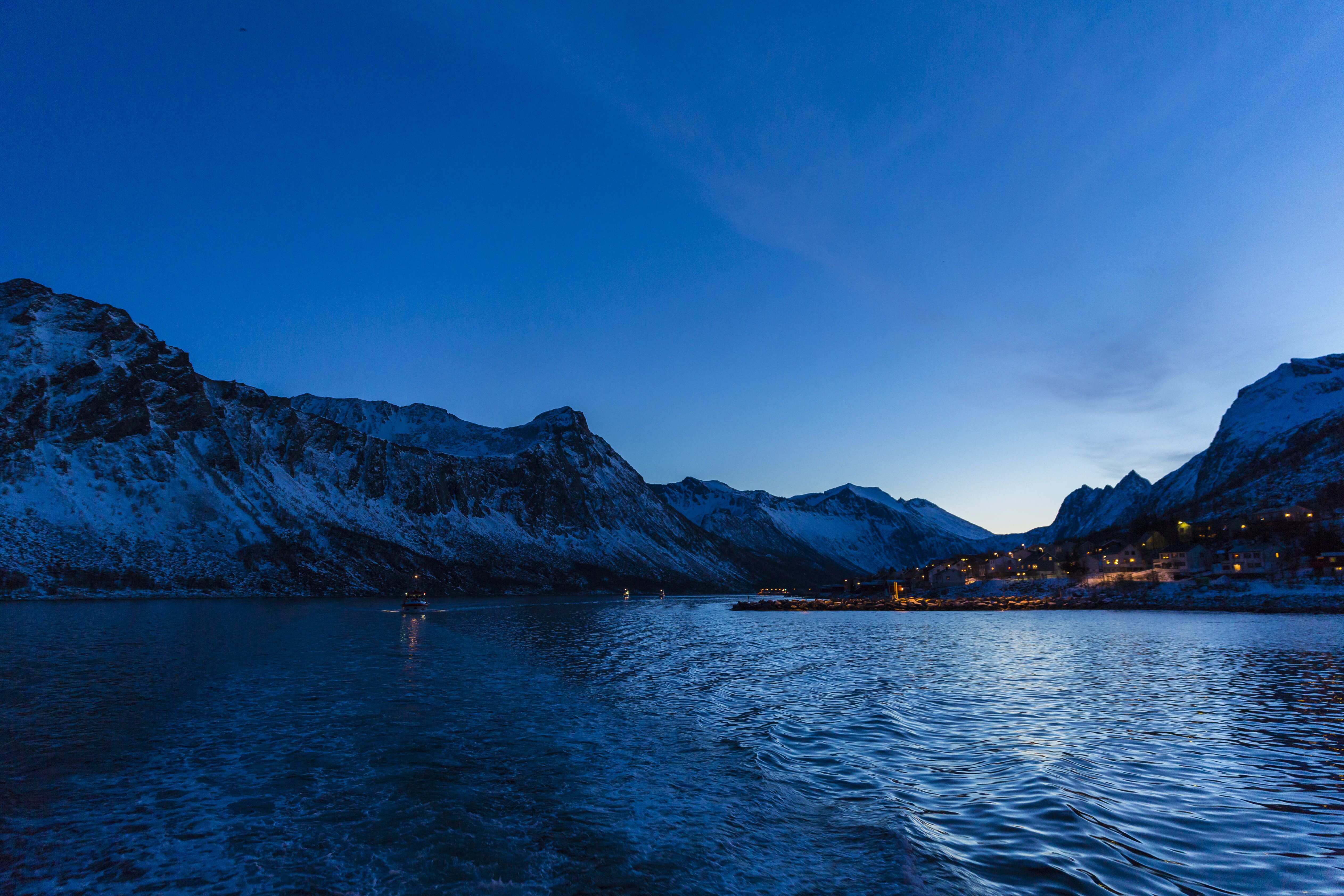 Lower levels of seafood exports in January