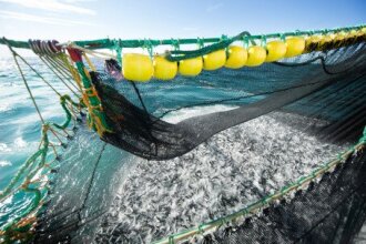 Norwegian seafood exports grow by NOK 7.9 billion