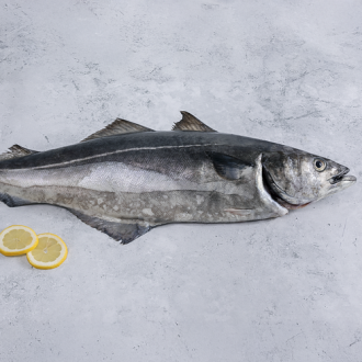 Alternative species such as saithe offer versatility in terms of preparation and serve, and saithe’s price point makes it a viable choice for everyday consumption.