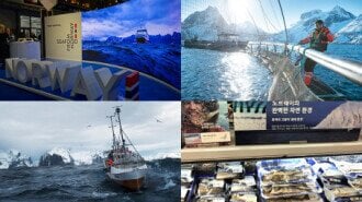 Norwegian seafood exports top NOK 107 billion in 2019