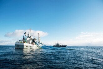 Stable Norwegian seafood exports in 2020 despite the corona pandemic