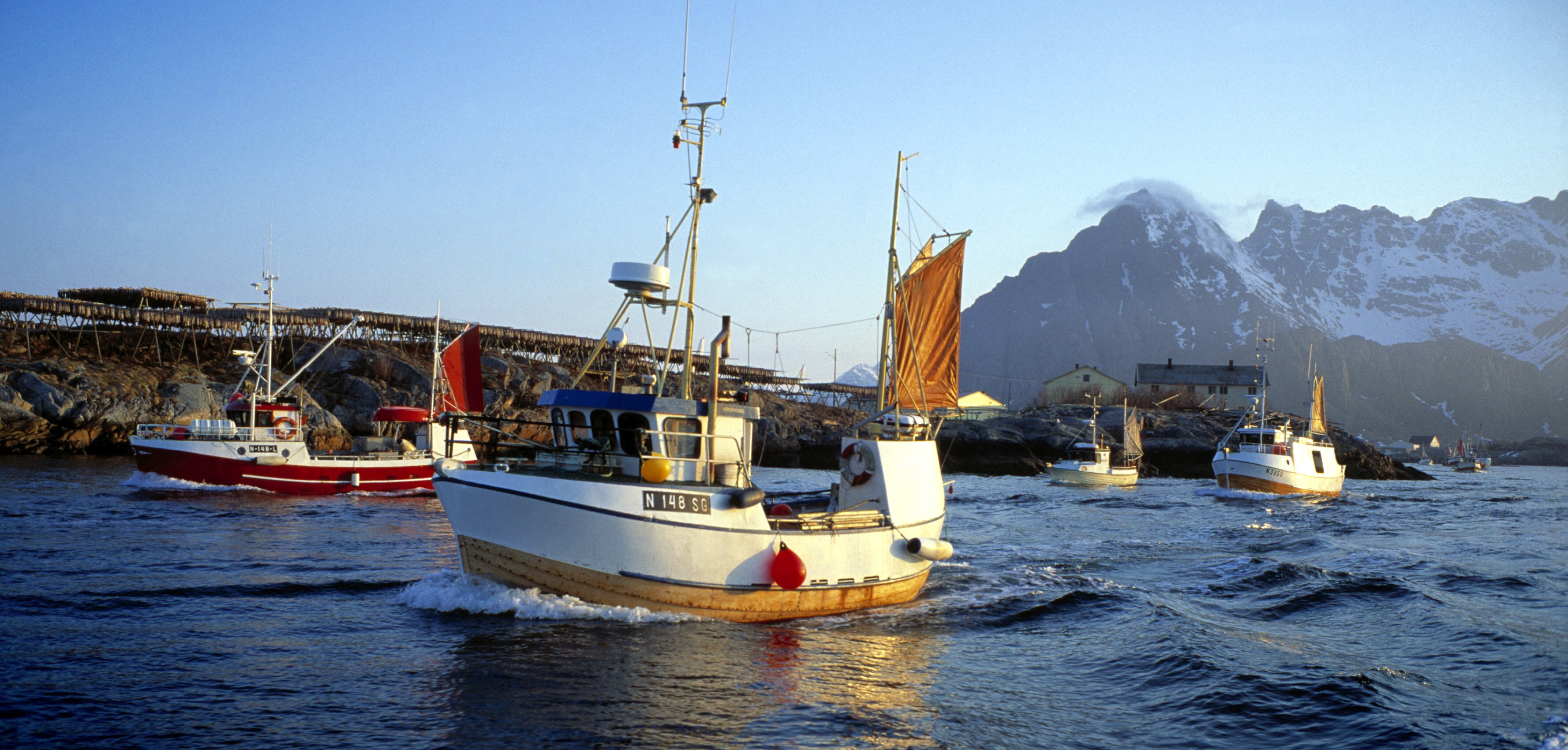 Best half year ever for Norwegian seafood export