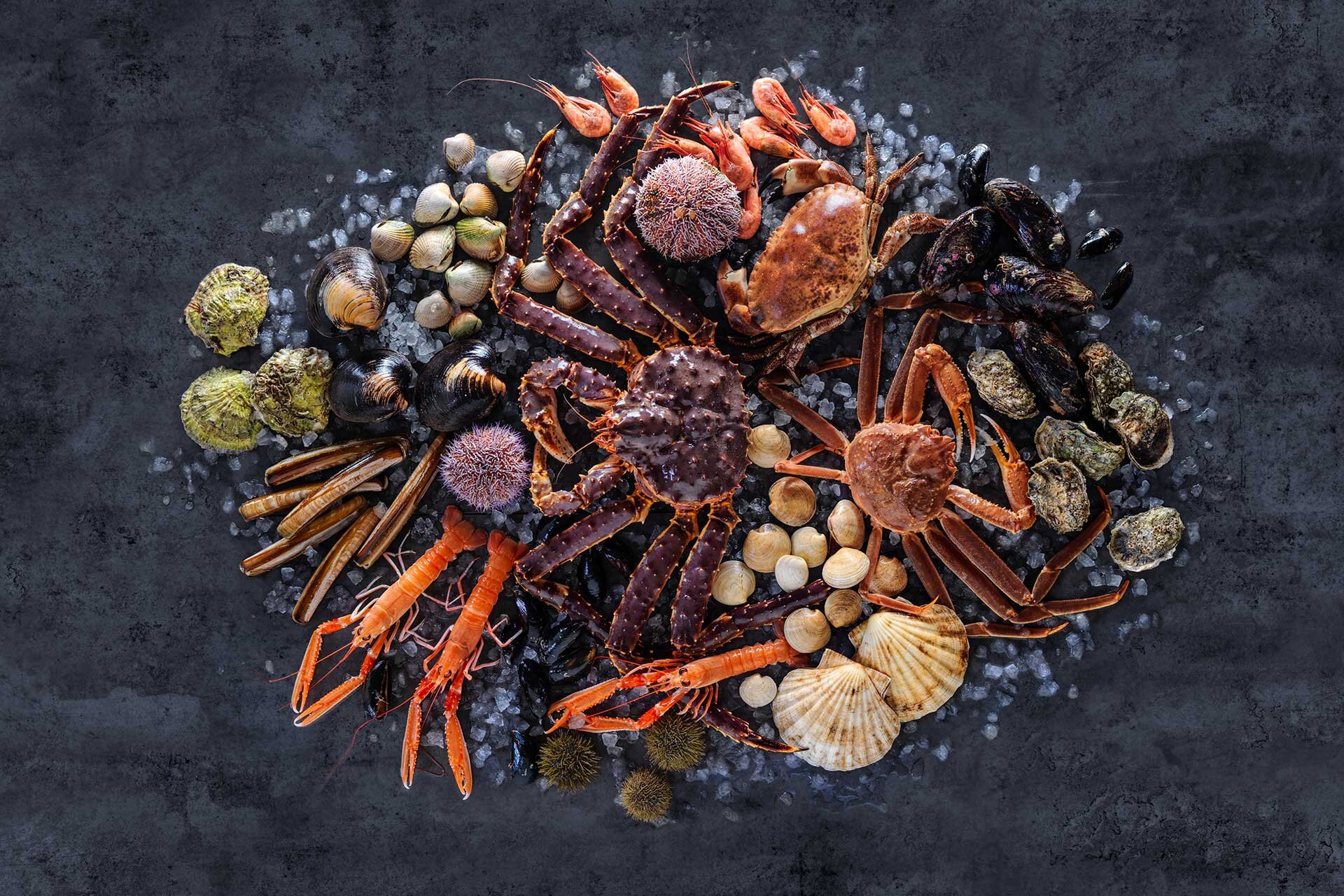 Shellfish on a table with ice