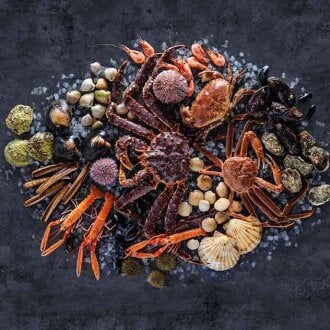 Shellfish on a table with ice