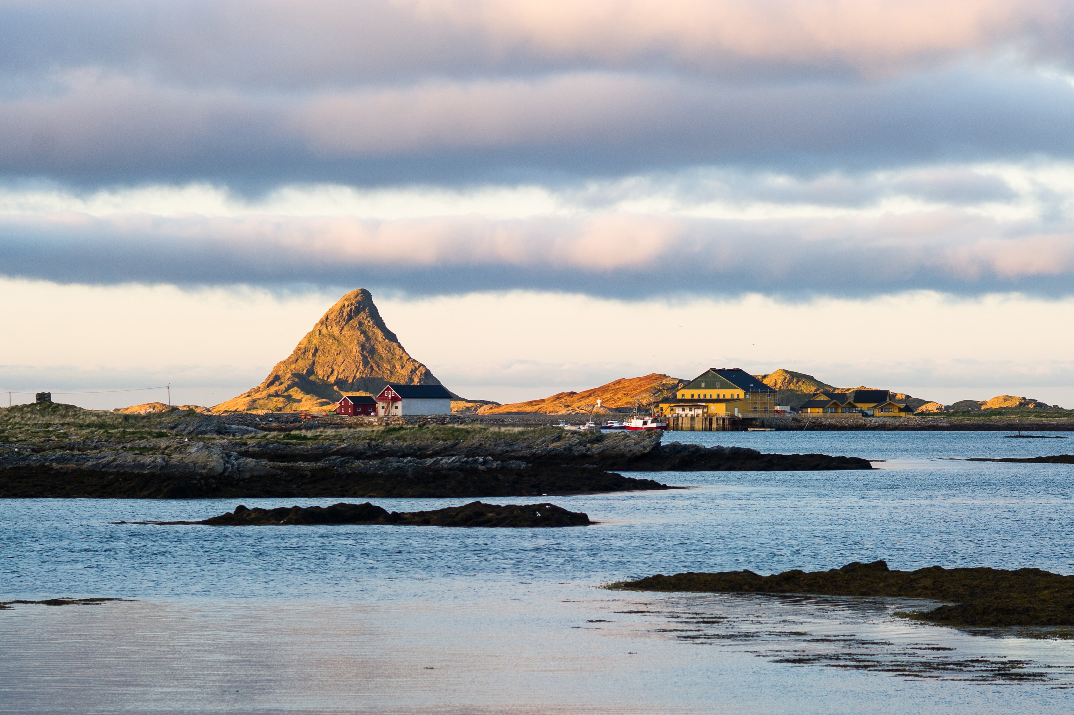 Growth in Norwegian seafood exports continues