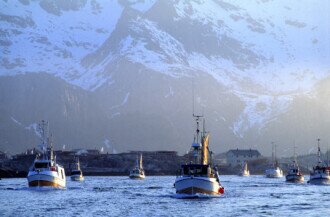 Reduced Cod Exports in February