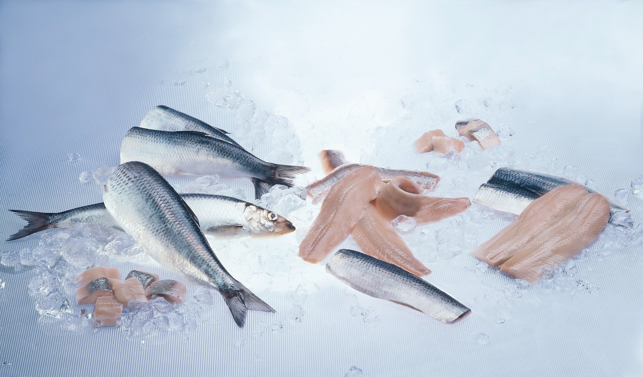 Norwegian herring products