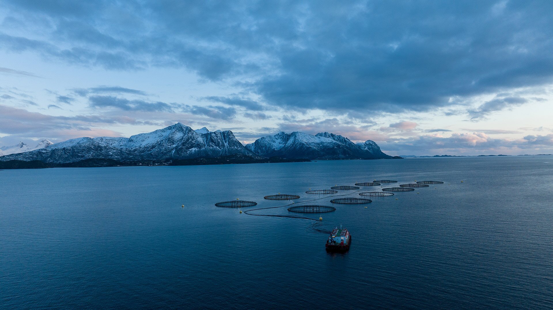 Fiords with aqua culture pens