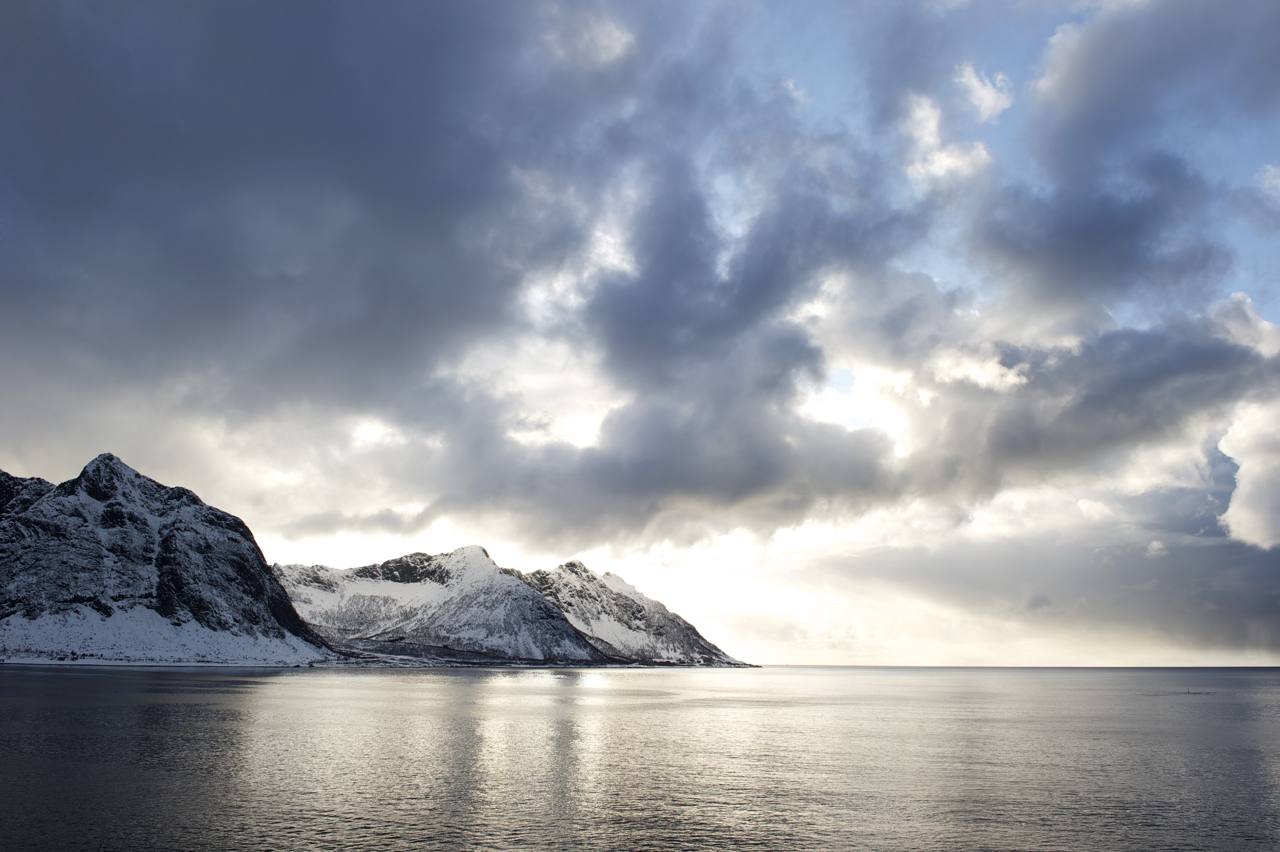 Norwegian Seafood Council