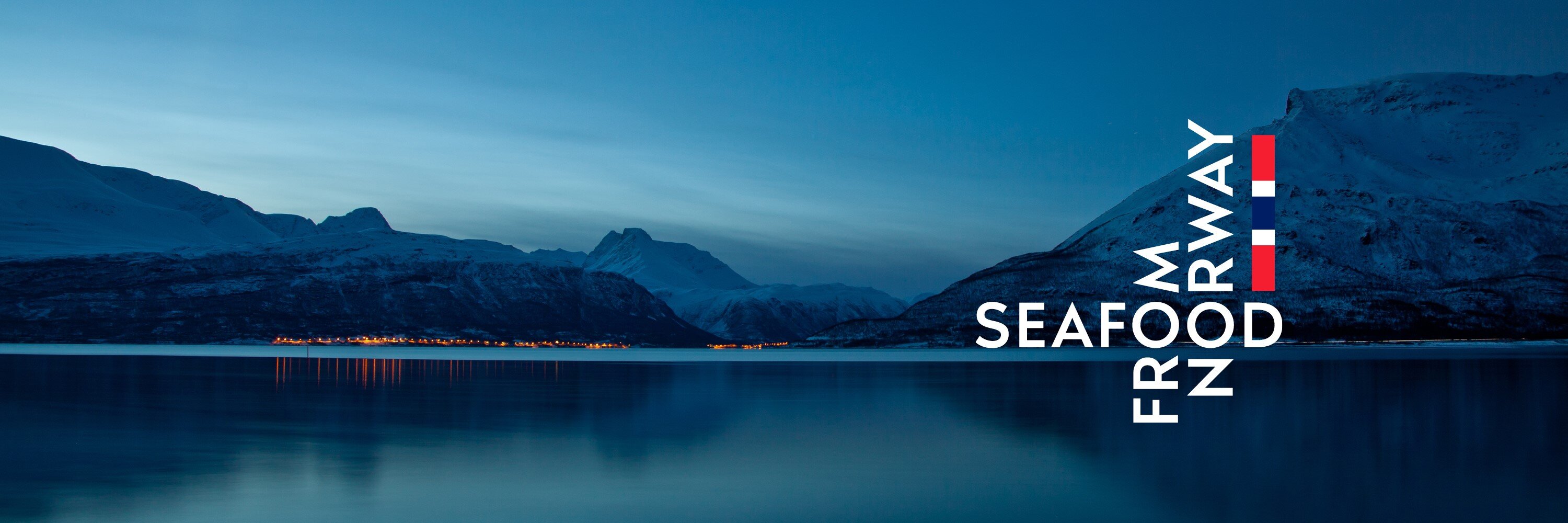 Image alt text goes here