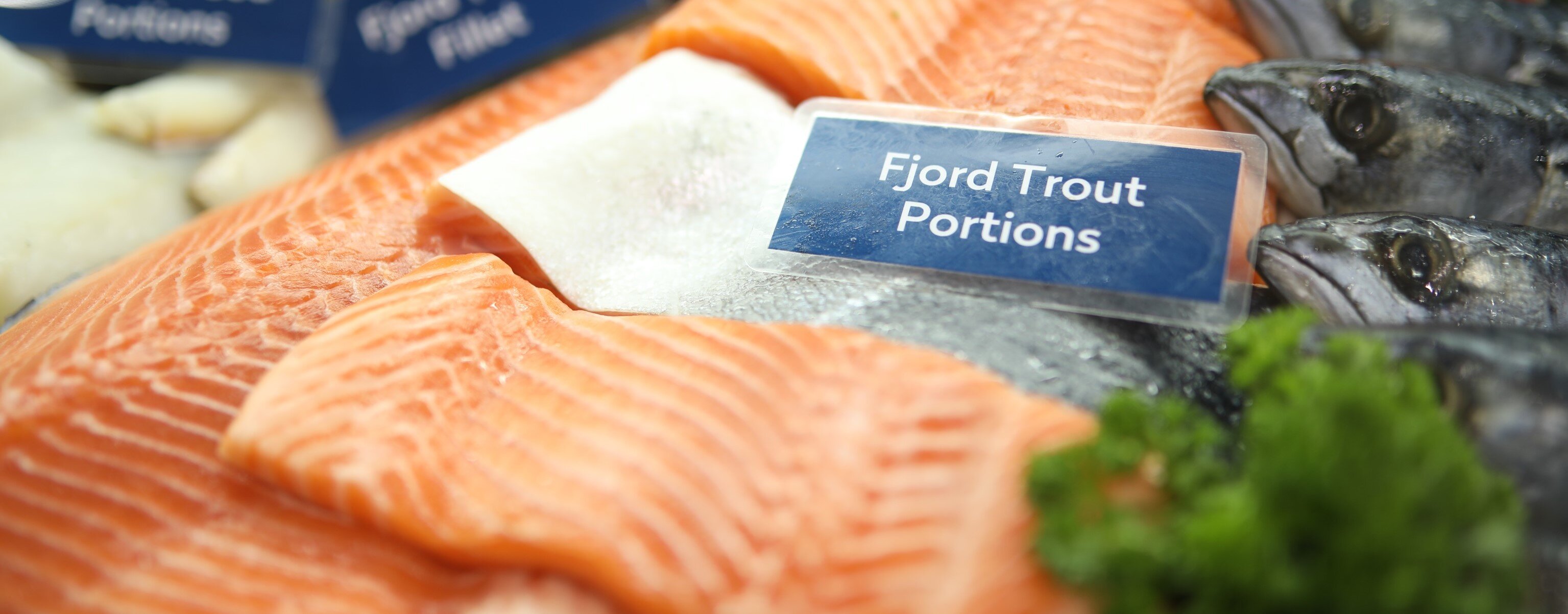 Fjord trout