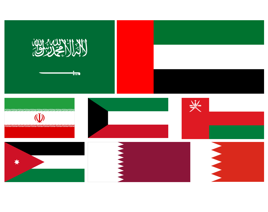 MidEast flag