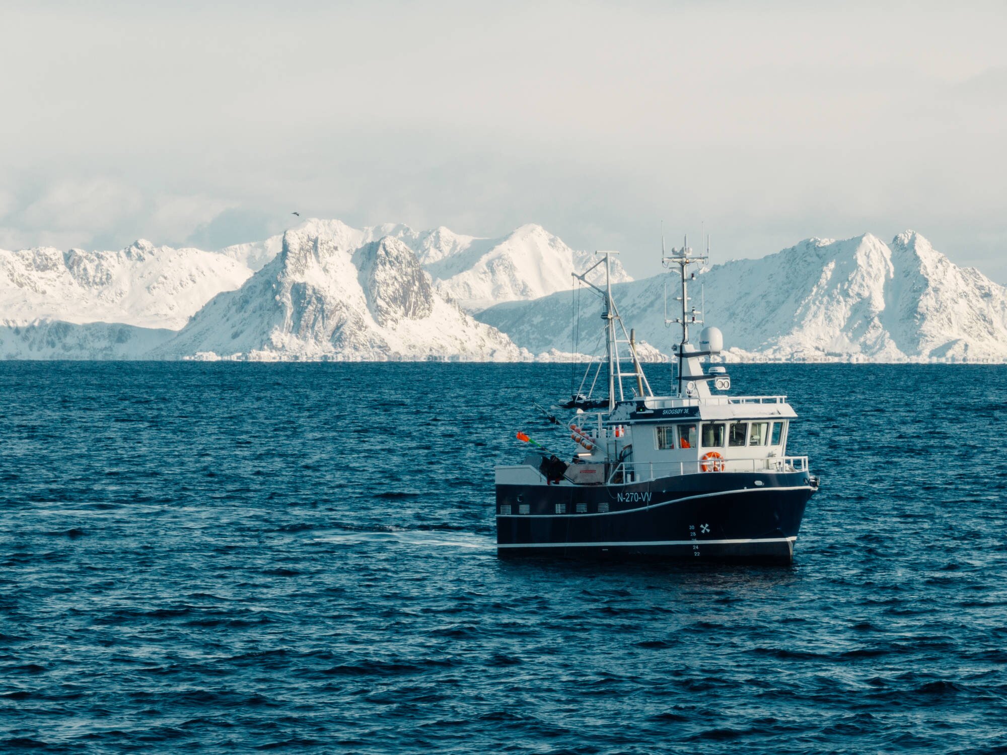 Fishing in lofoten