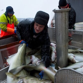 A new May record for codfish exports